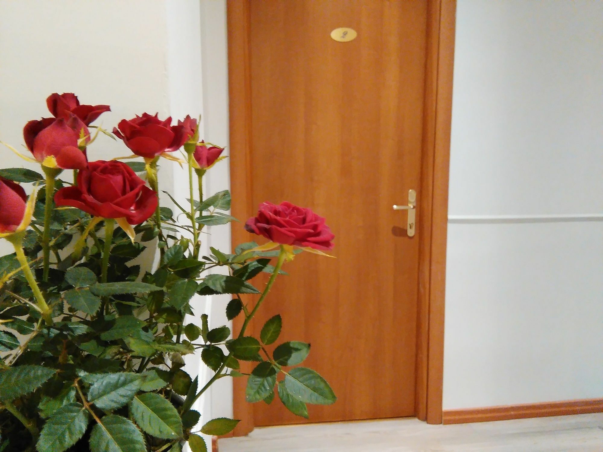 Villa Borghese Guest House روما المظهر الخارجي الصورة